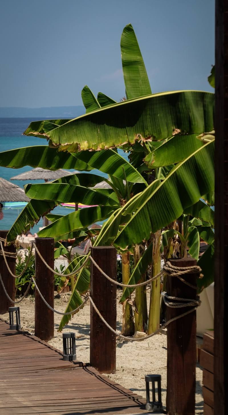 Royal Hotel & Suites — social & lifestyle
